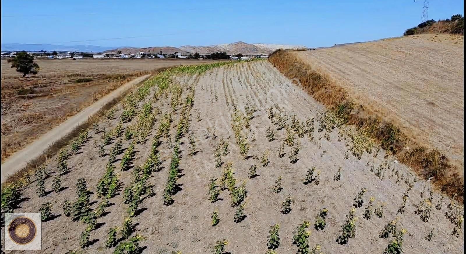 Yenişehir Barcın Mh Satılık 10.200m2 Köşe Başı 5 Tapu - Görsel 5