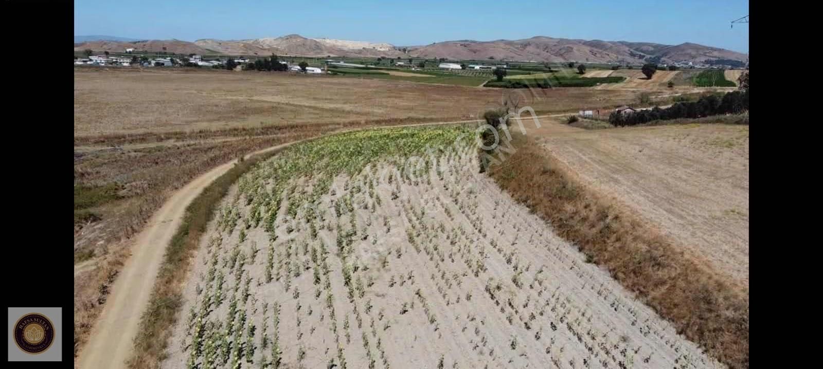 Yenişehir Barcın Mh Satılık 10.200m2 Köşe Başı 5 Tapu - Görsel 7