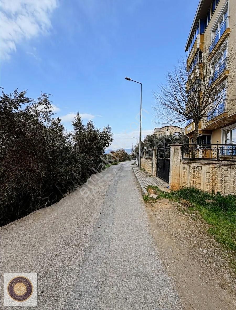 Kestel Vanımehmet Mh Satılık 483 M2 Arsa