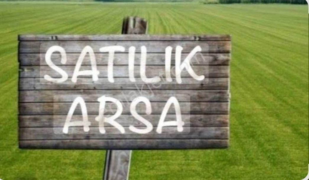 Tavas Pınarlık'ta 45 Cevizli, Köy Evi 3.800 M² Satılık Tarla