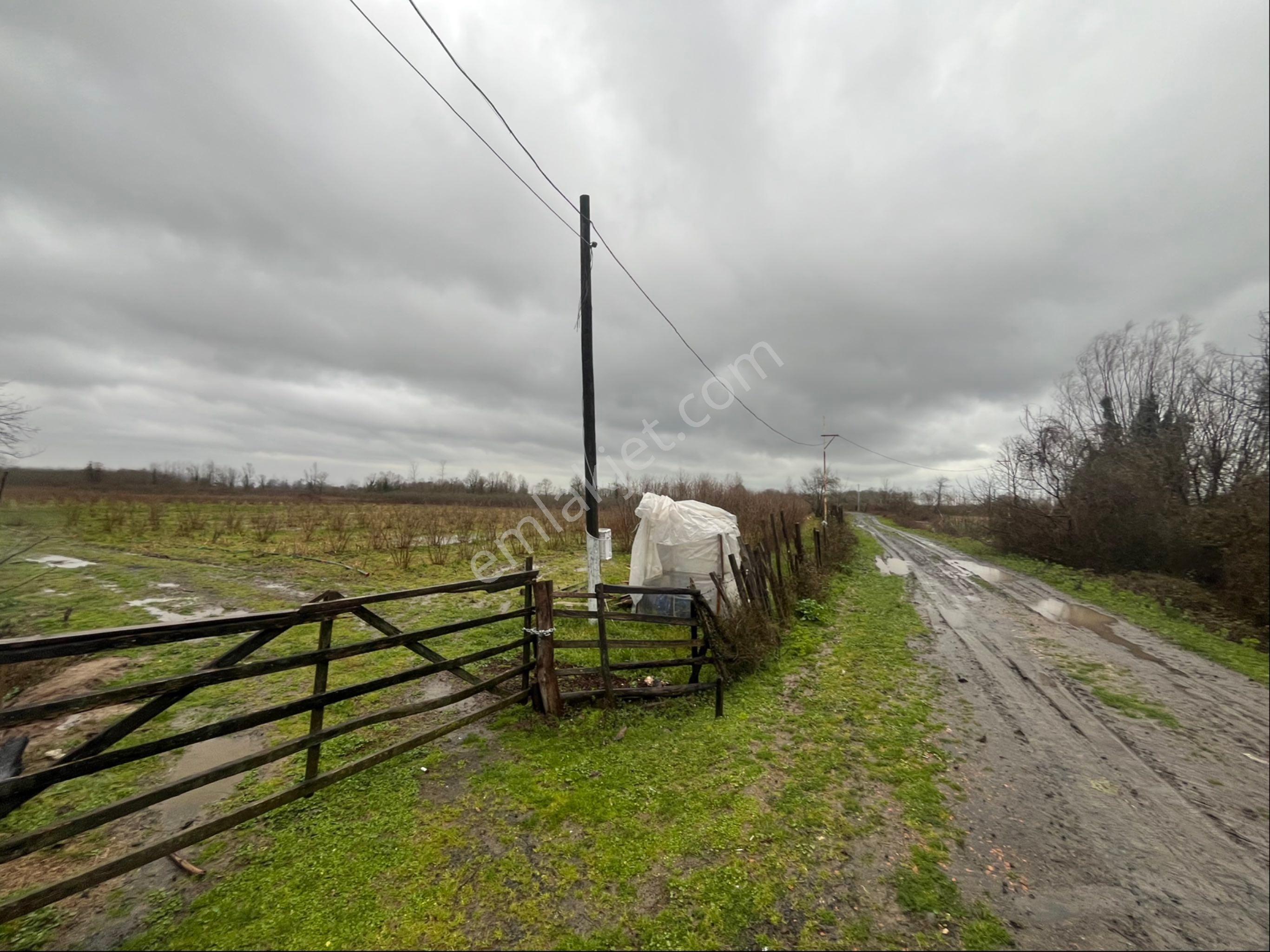 Yol Cepheli Satılık Beş Dönüm Mükemmel Parsel