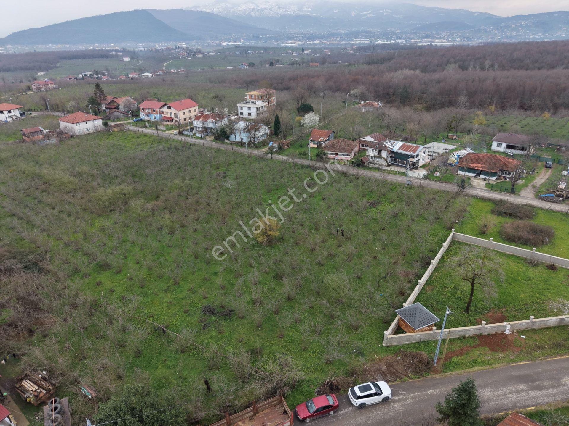 Emlakevim - Küçücek Cumhuriyet Mah.de Satılık 480 M2 İmarlı Arsa - Görsel 6
