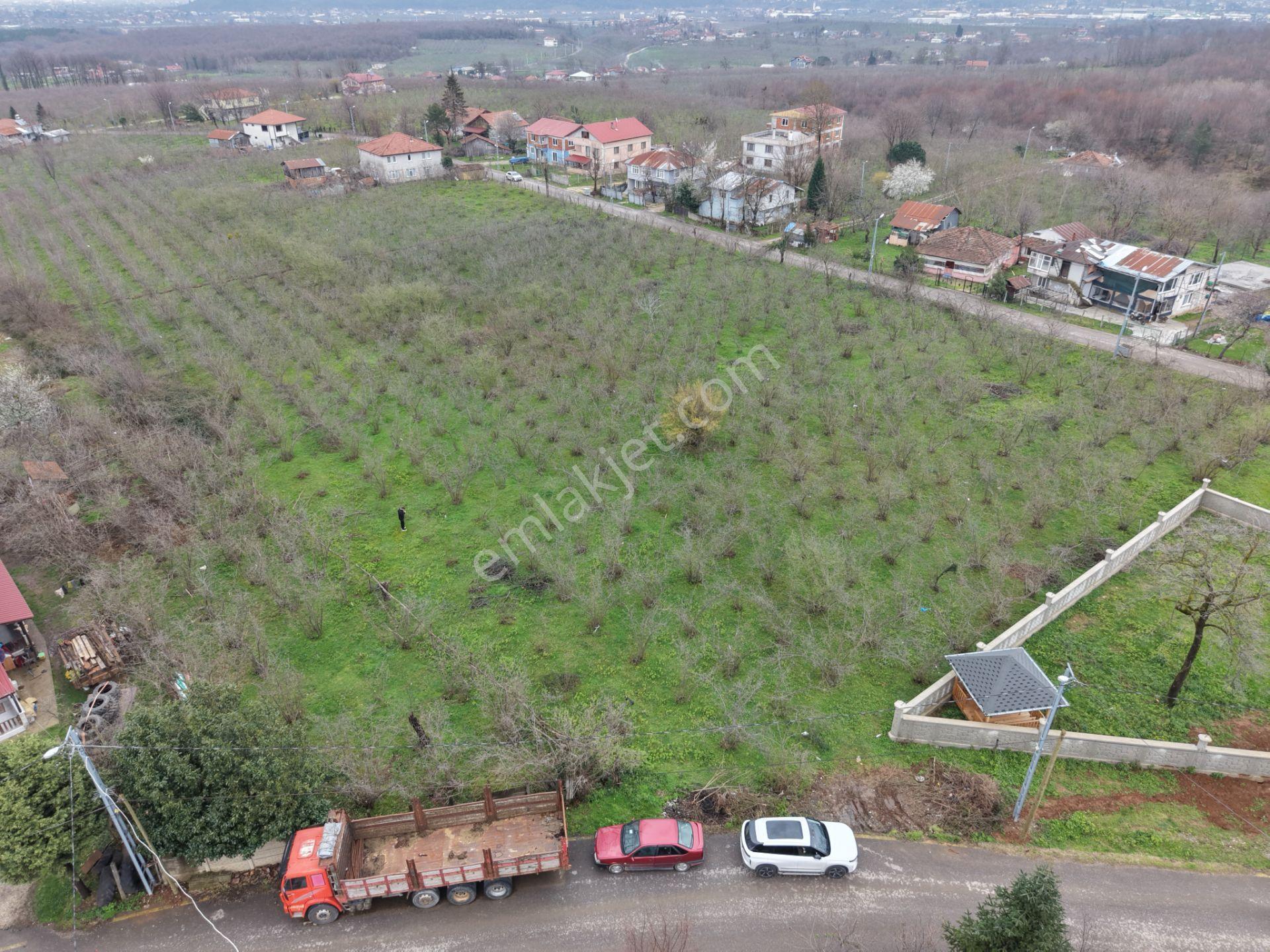 Emlakevim - Küçücek Cumhuriyet Mah.de Satılık 480 M2 İmarlı Arsa - Görsel 8