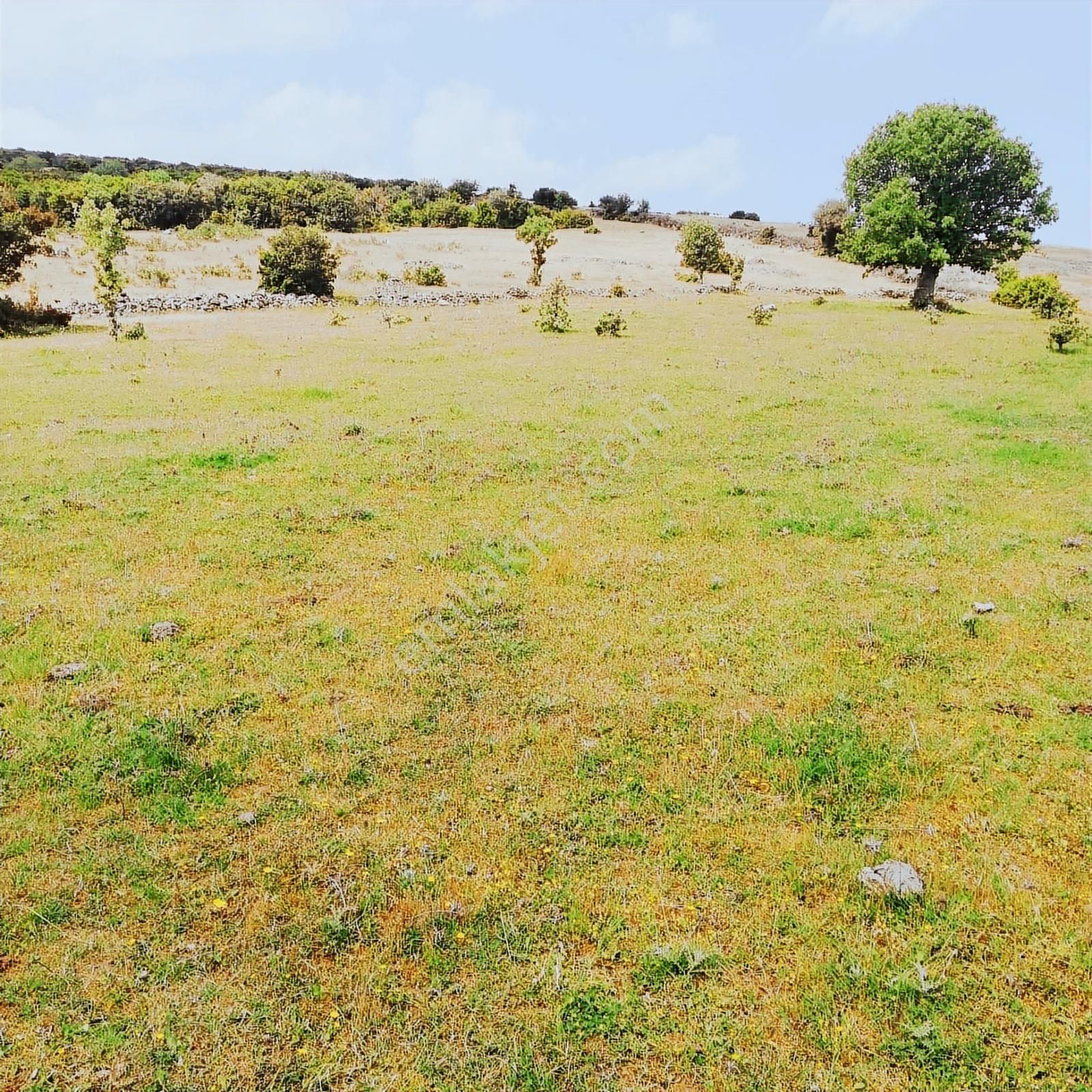 Bergama Kızıltepede Yolu Mevcut,res Ve Ges Arzisi-61000 M2- - Görsel 3
