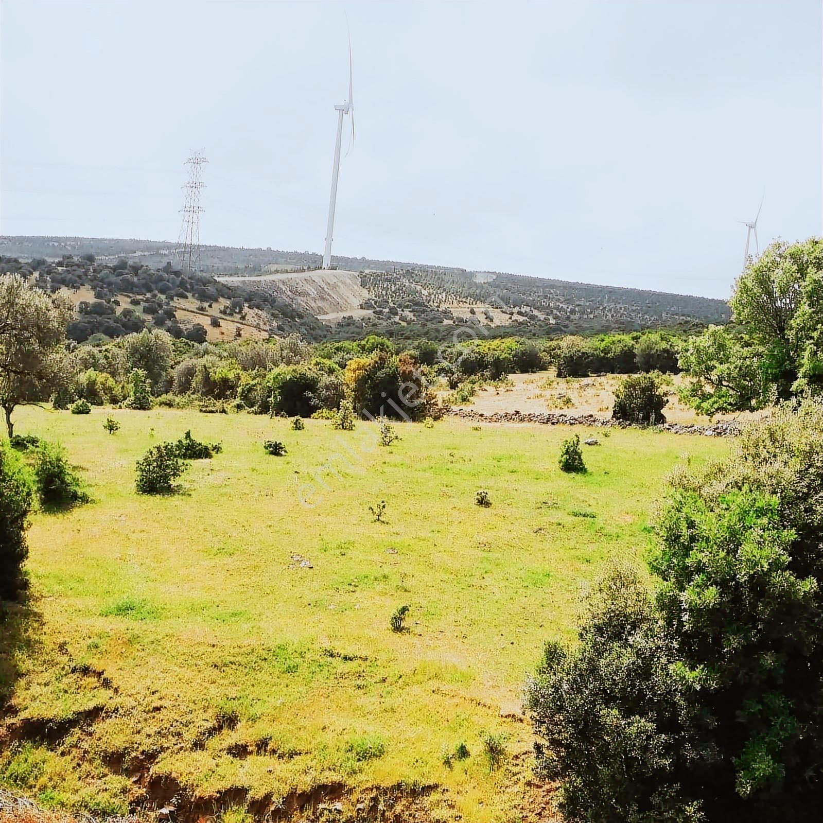 Bergama Kızıltepede Yolu Mevcut,res Ve Ges Arzisi-61000 M2-