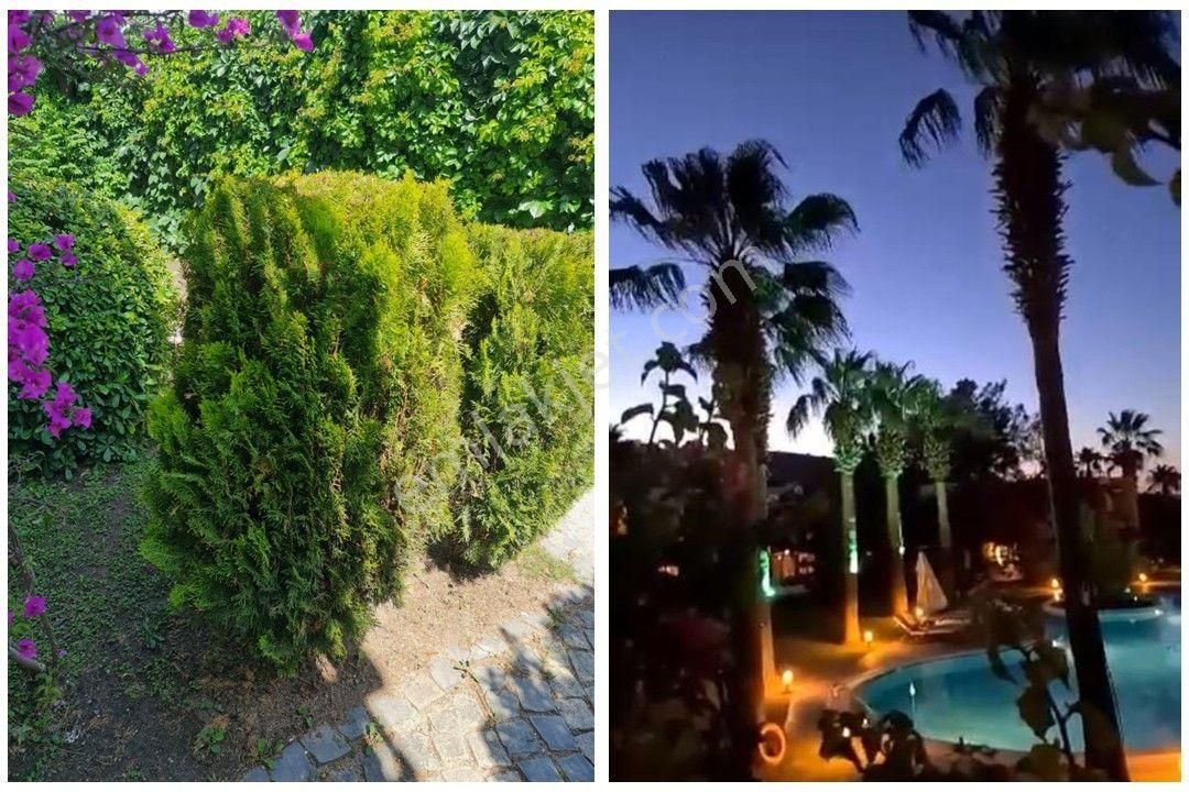 Gölköy' De Geniş Bahçeli Villa 3+1 / 200m2 - Görsel 14