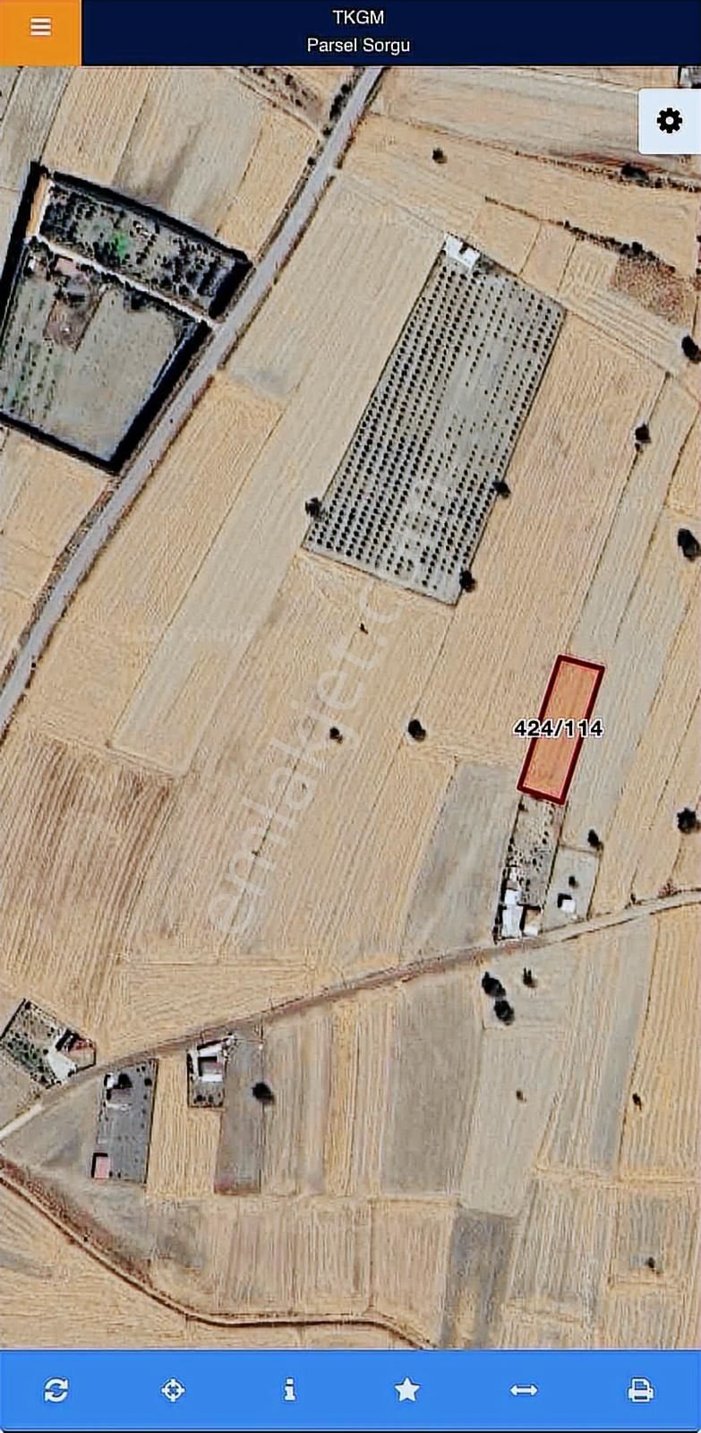 Fırsat Fiyata Satılık Tarla