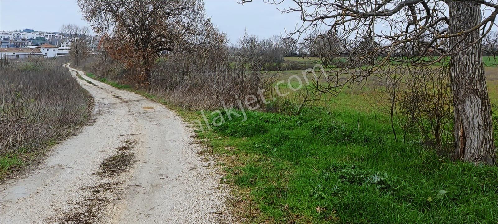 Nilüfer Kayapa Da Kadastro Yoluna Cephe 400 M2 Yatırımlık Arazi - Görsel 19