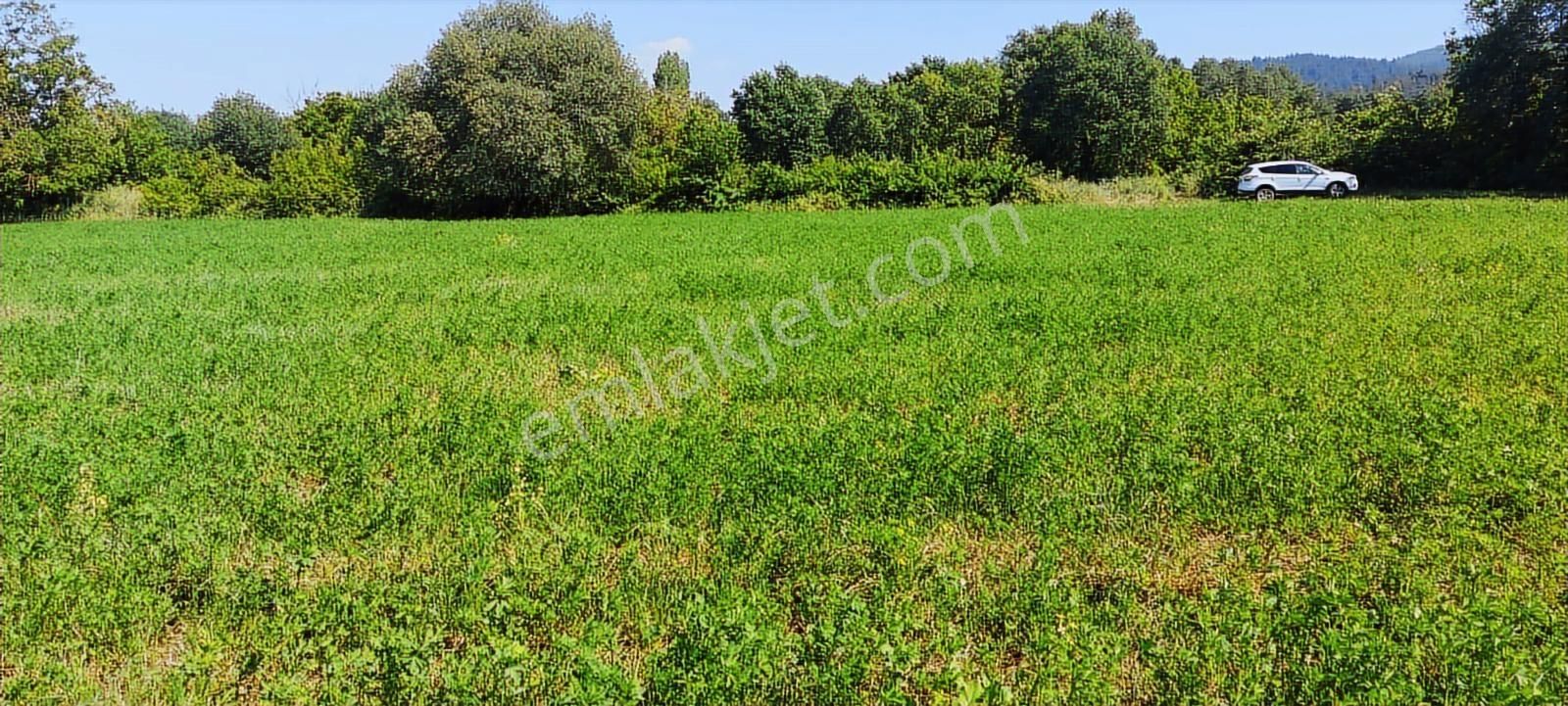 Nilüfer Kayapa Da Kadastro Yoluna Cephe 400 M2 Yatırımlık Arazi - Görsel 3