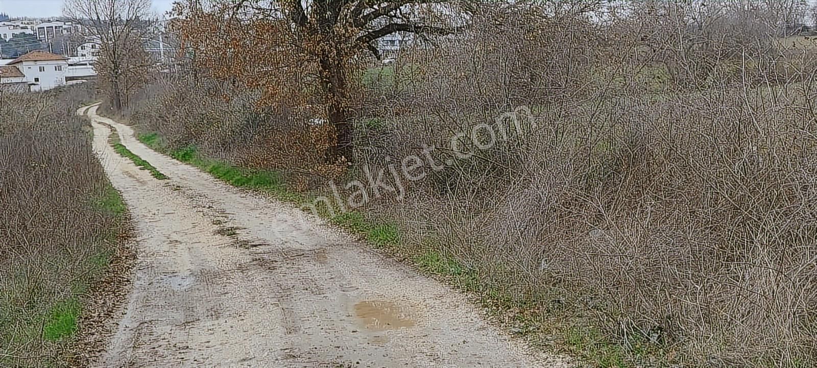 Nilüfer Kayapa Da Kadastro Yoluna Cephe 400 M2 Yatırımlık Arazi - Görsel 33