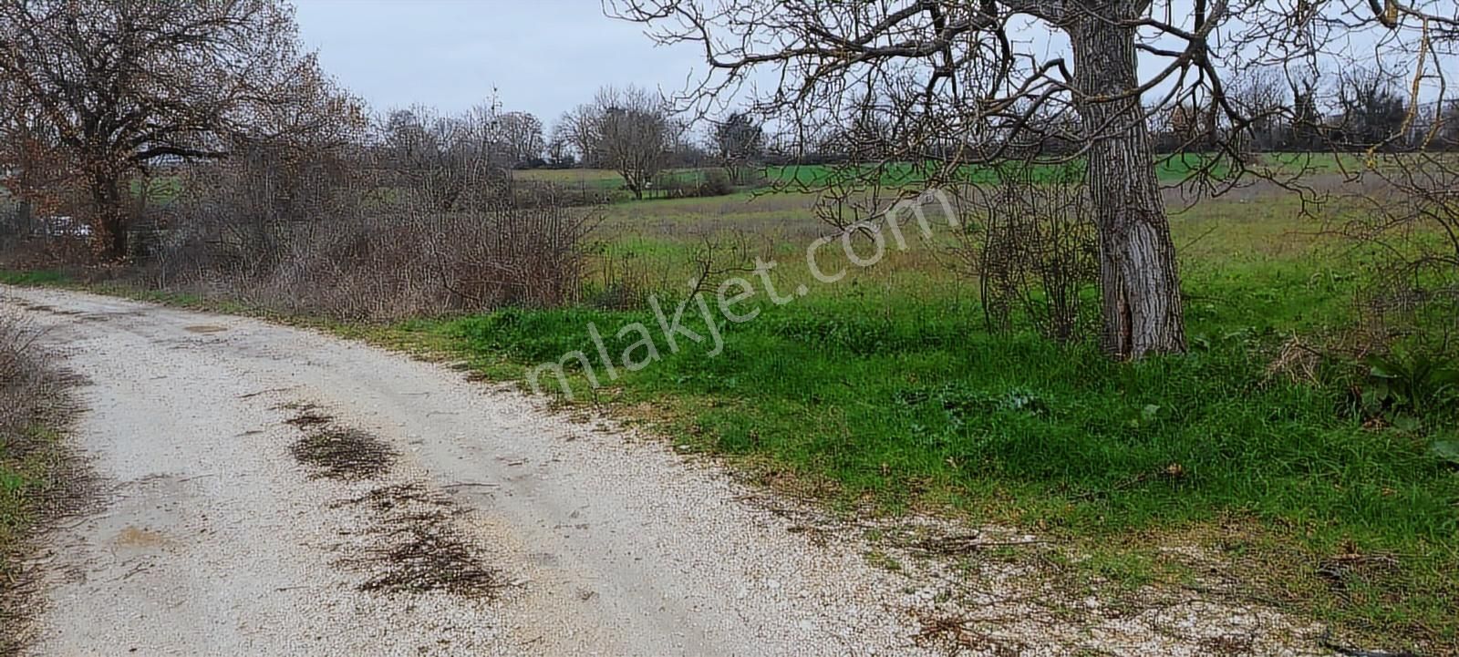 Nilüfer Kayapa Da Kadastro Yoluna Cephe 400 M2 Yatırımlık Arazi - Görsel 28