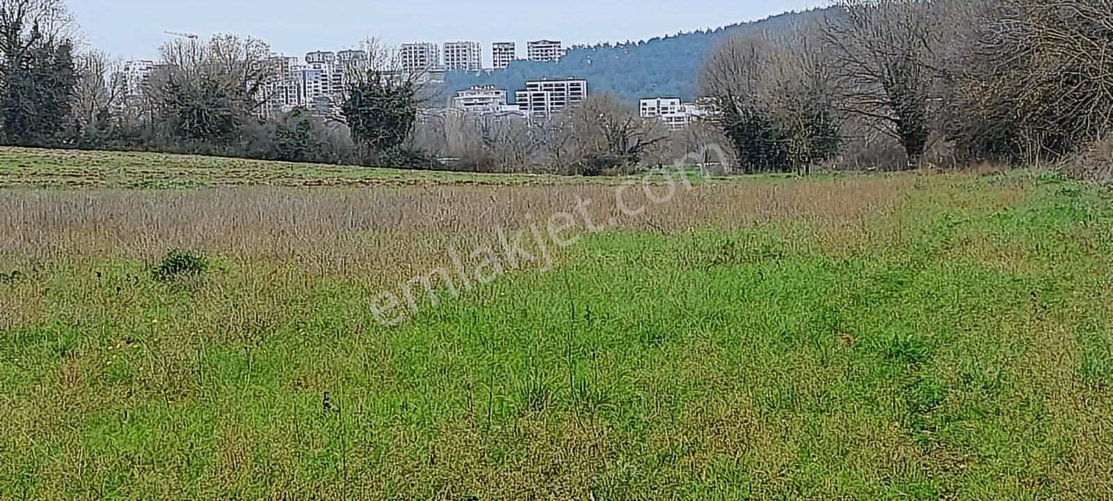 Nilüfer Kayapa Da Kadastro Yoluna Cephe 400 M2 Yatırımlık Arazi - Görsel 20