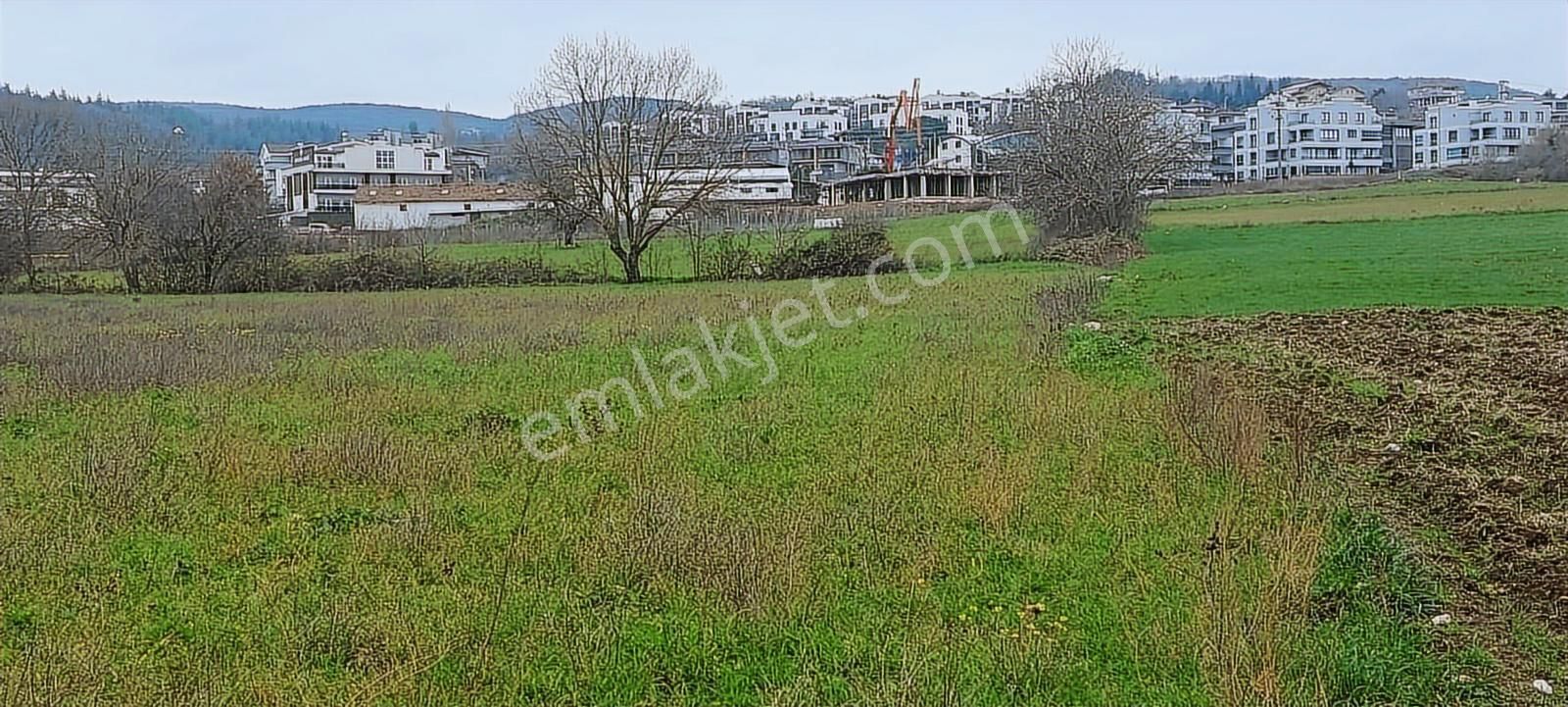Nilüfer Kayapa Da Kadastro Yoluna Cephe 400 M2 Yatırımlık Arazi - Görsel 29