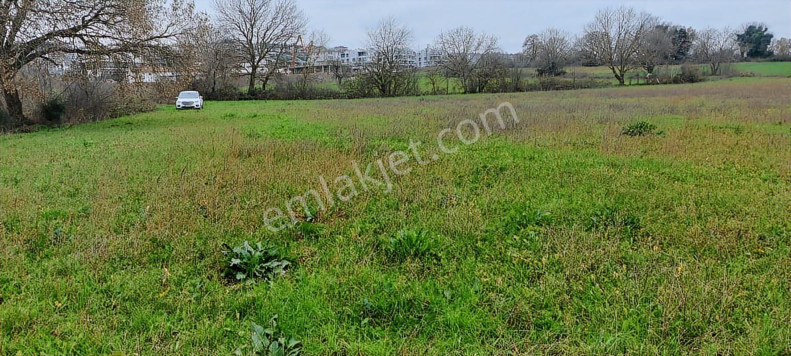 Nilüfer Kayapa Da Kadastro Yoluna Cephe 400 M2 Yatırımlık Arazi - Görsel 9