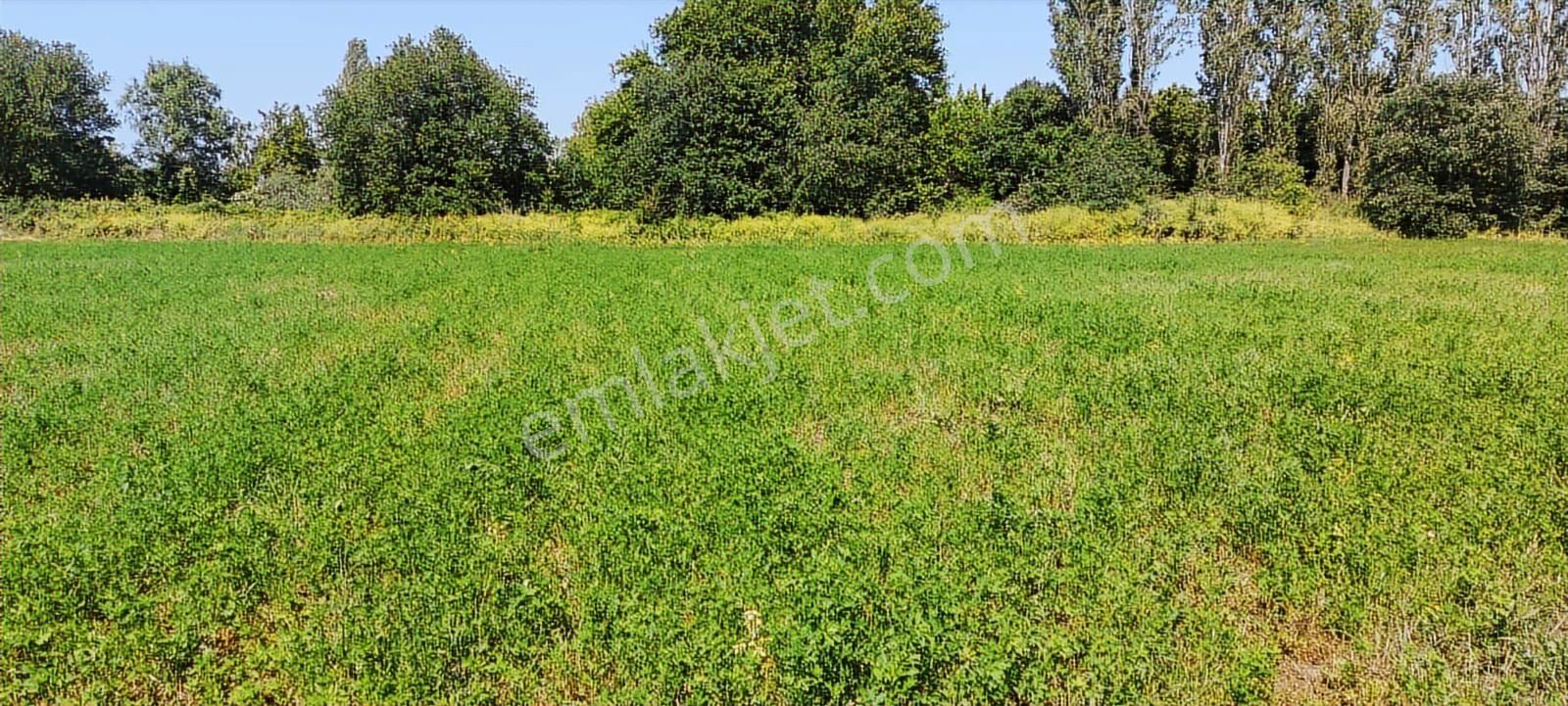 Nilüfer Kayapa Da Kadastro Yoluna Cephe 400 M2 Yatırımlık Arazi - Görsel 4