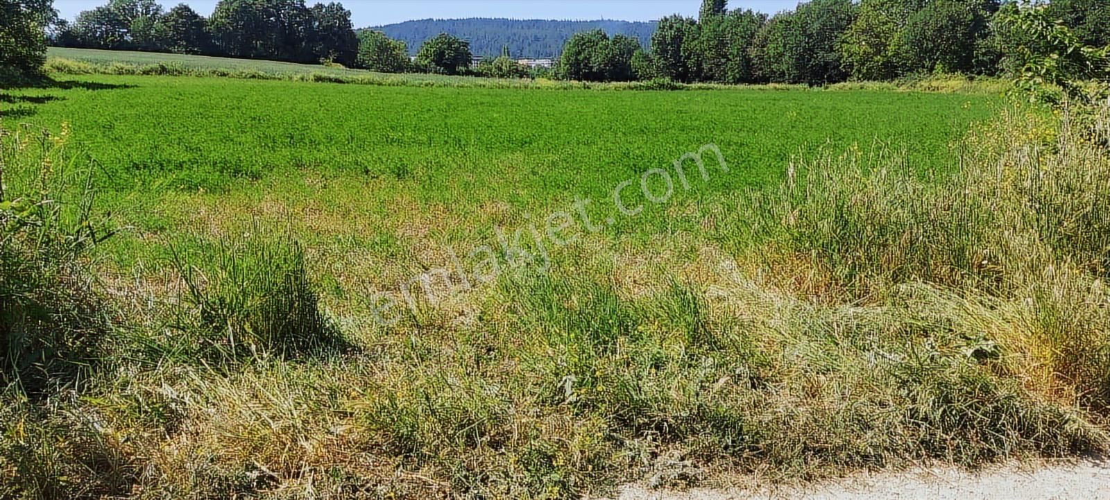 Nilüfer Kayapa Da Kadastro Yoluna Cephe 400 M2 Yatırımlık Arazi - Görsel 7