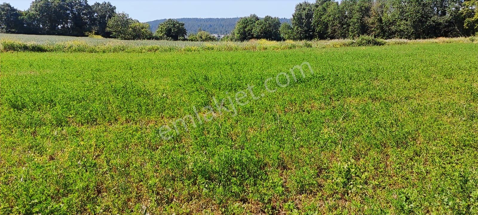 Nilüfer Kayapa Da Kadastro Yoluna Cephe 400 M2 Yatırımlık Arazi - Görsel 11