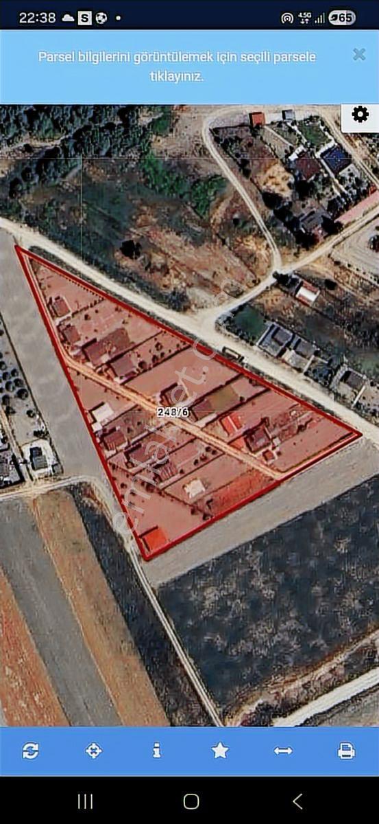 Ank Güdül Güneyce 500 M2 Etrafı Cevrili Hobi Bahcesi - Görsel 2