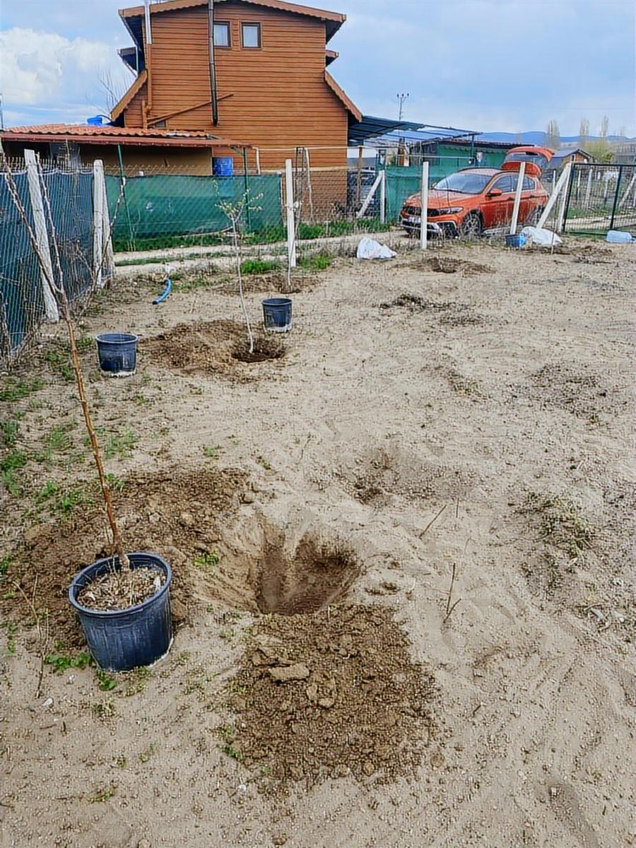 Ank Güdül Güneyce 500 M2 Etrafı Cevrili Hobi Bahcesi - Görsel 8