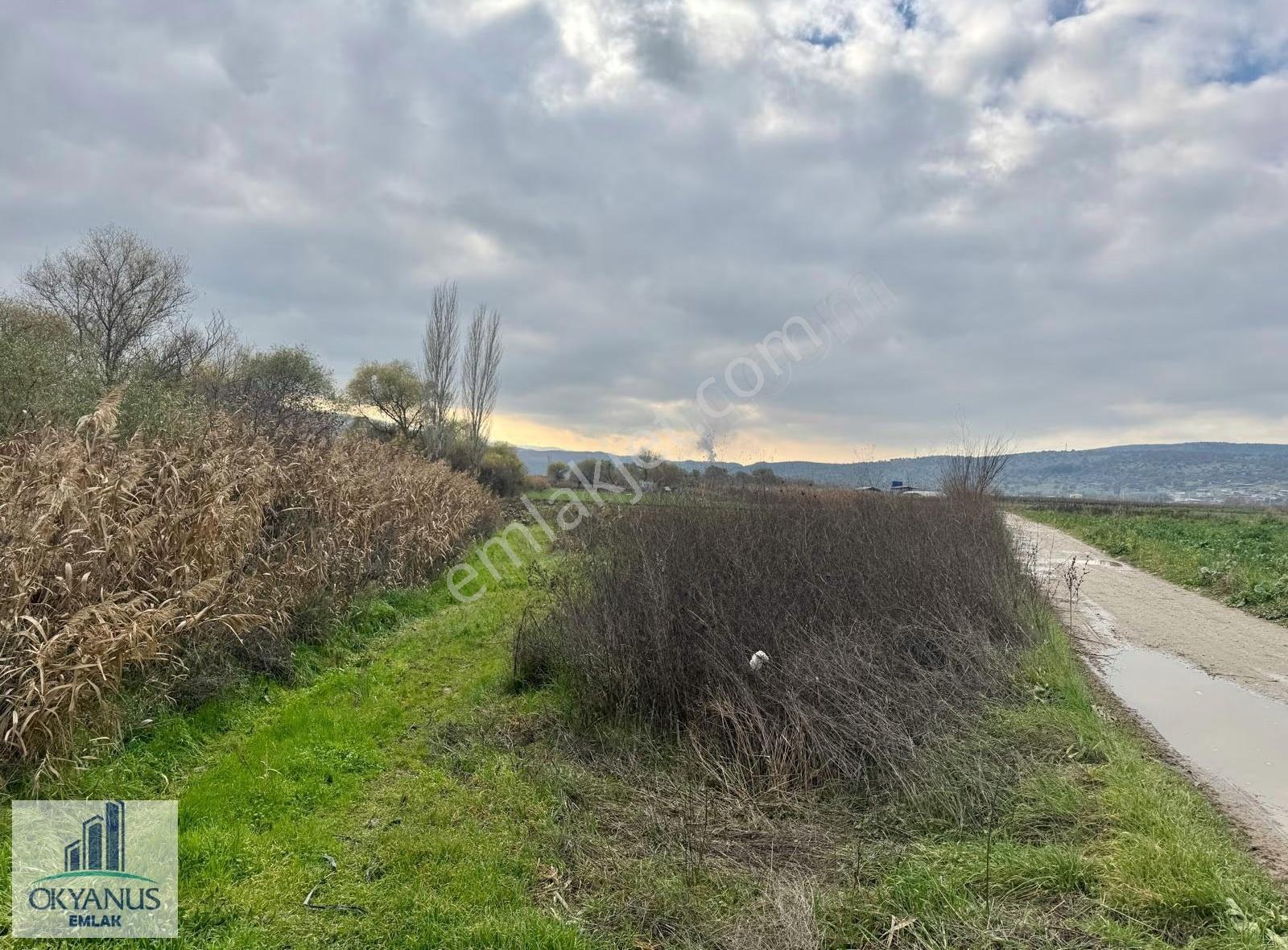 Yağcılar Da 450 M2 Tarla, Resmi Yola Sıfır, Asfalta 600 Mt - Görsel 5