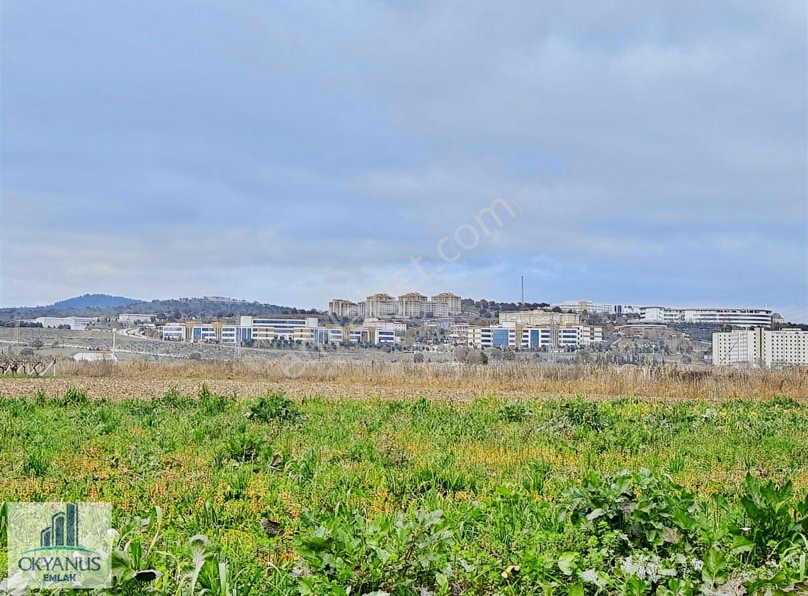 Yağcılar Da 450 M2 Tarla, Resmi Yola Sıfır, Asfalta 600 Mt - Görsel 6