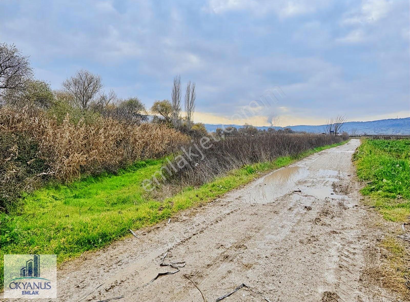 Yağcılar Da 450 M2 Tarla, Resmi Yola Sıfır, Asfalta 600 Mt - Görsel 13