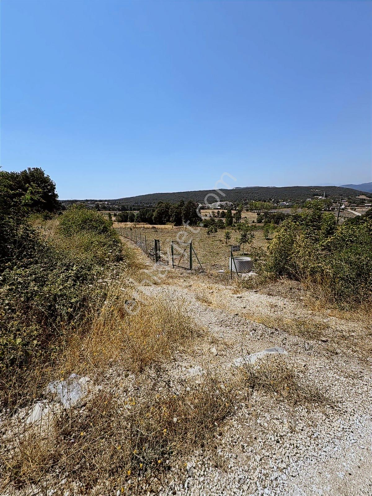 Nisandan Mustafakemalpaşa Uğurlu Pınar 2.800 M² Satılık Bahçe - Görsel 17