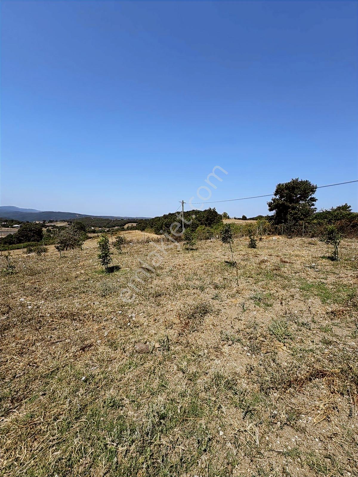 Nisandan Mustafakemalpaşa Uğurlu Pınar 2.800 M² Satılık Bahçe - Görsel 22