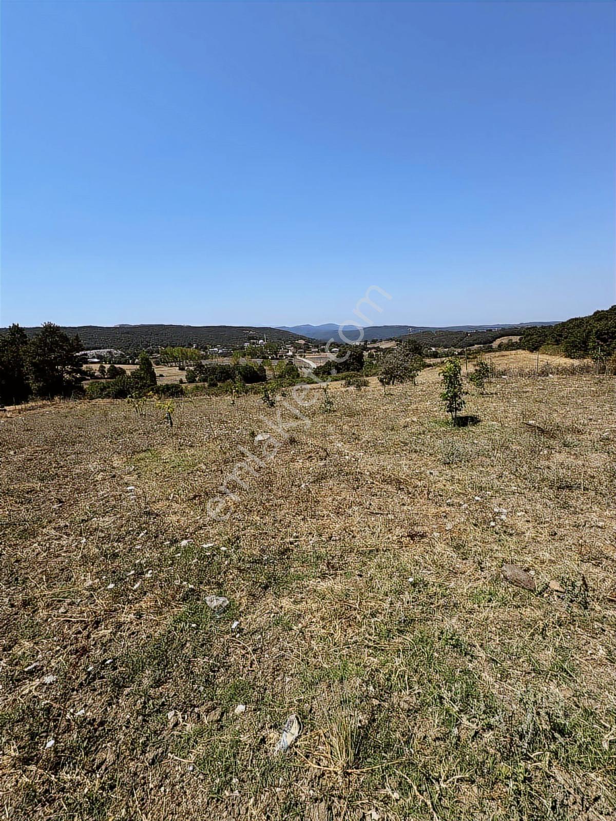 Nisandan Mustafakemalpaşa Uğurlu Pınar 2.800 M² Satılık Bahçe - Görsel 18