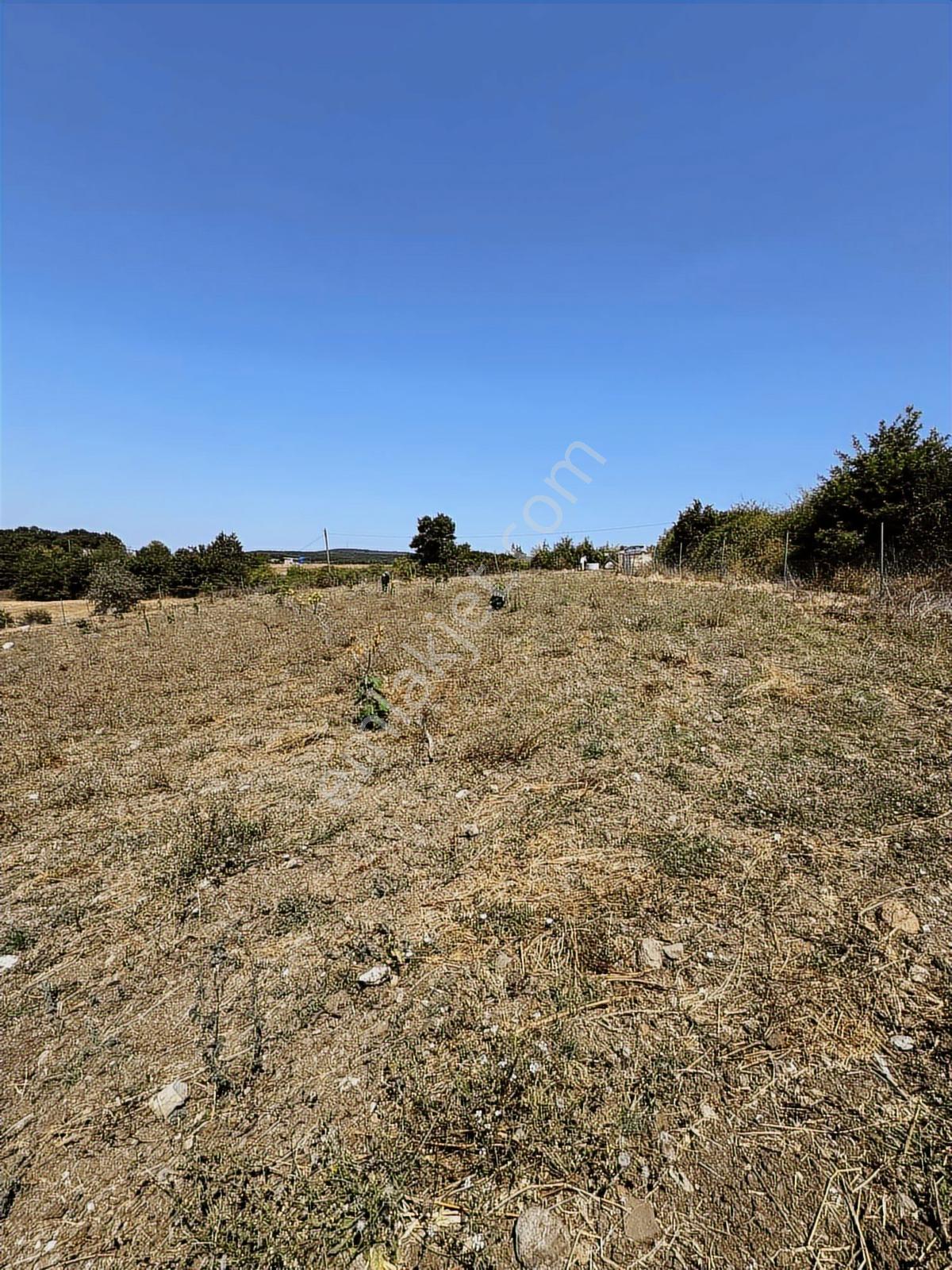 Nisandan Mustafakemalpaşa Uğurlu Pınar 2.800 M² Satılık Bahçe - Görsel 12