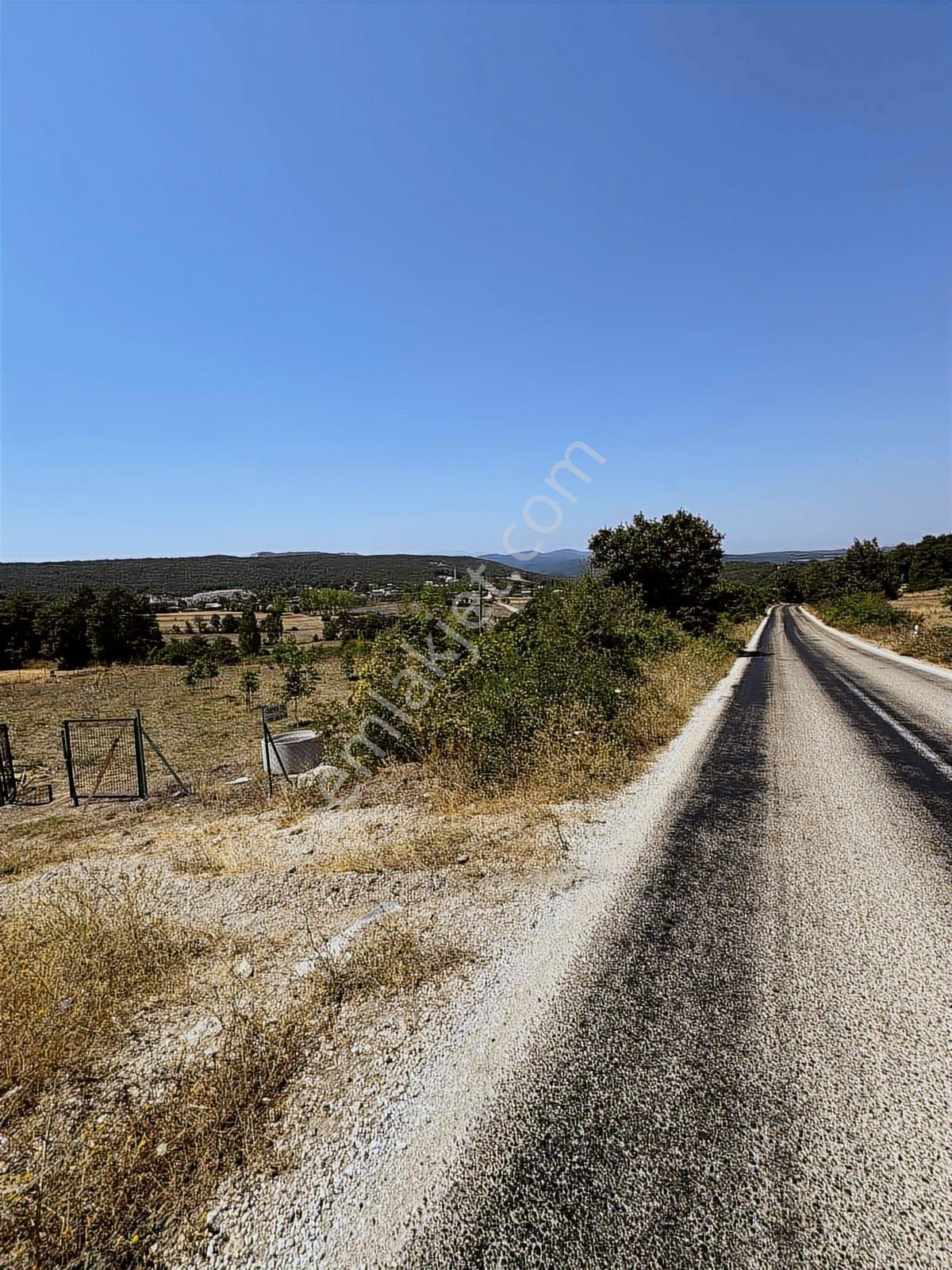 Nisandan Mustafakemalpaşa Uğurlu Pınar 2.800 M² Satılık Bahçe - Görsel 26