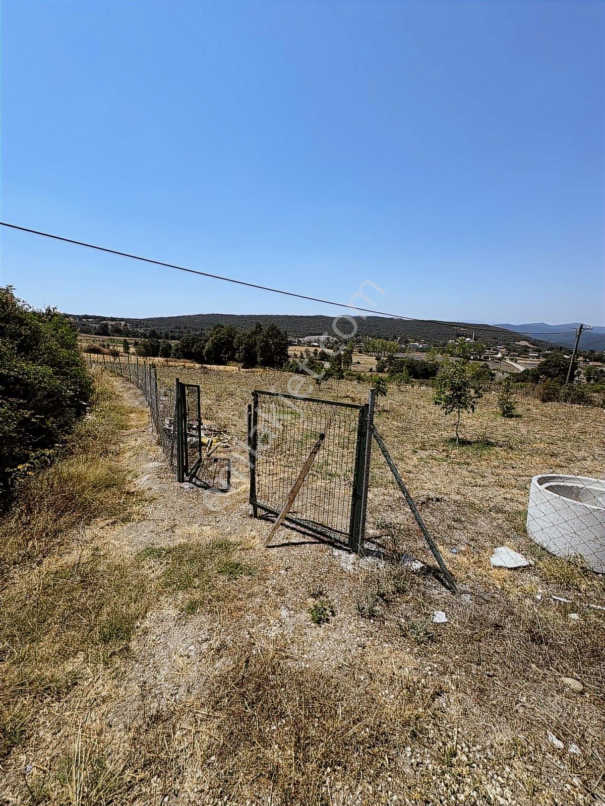 Nisandan Mustafakemalpaşa Uğurlu Pınar 2.800 M² Satılık Bahçe - Görsel 15