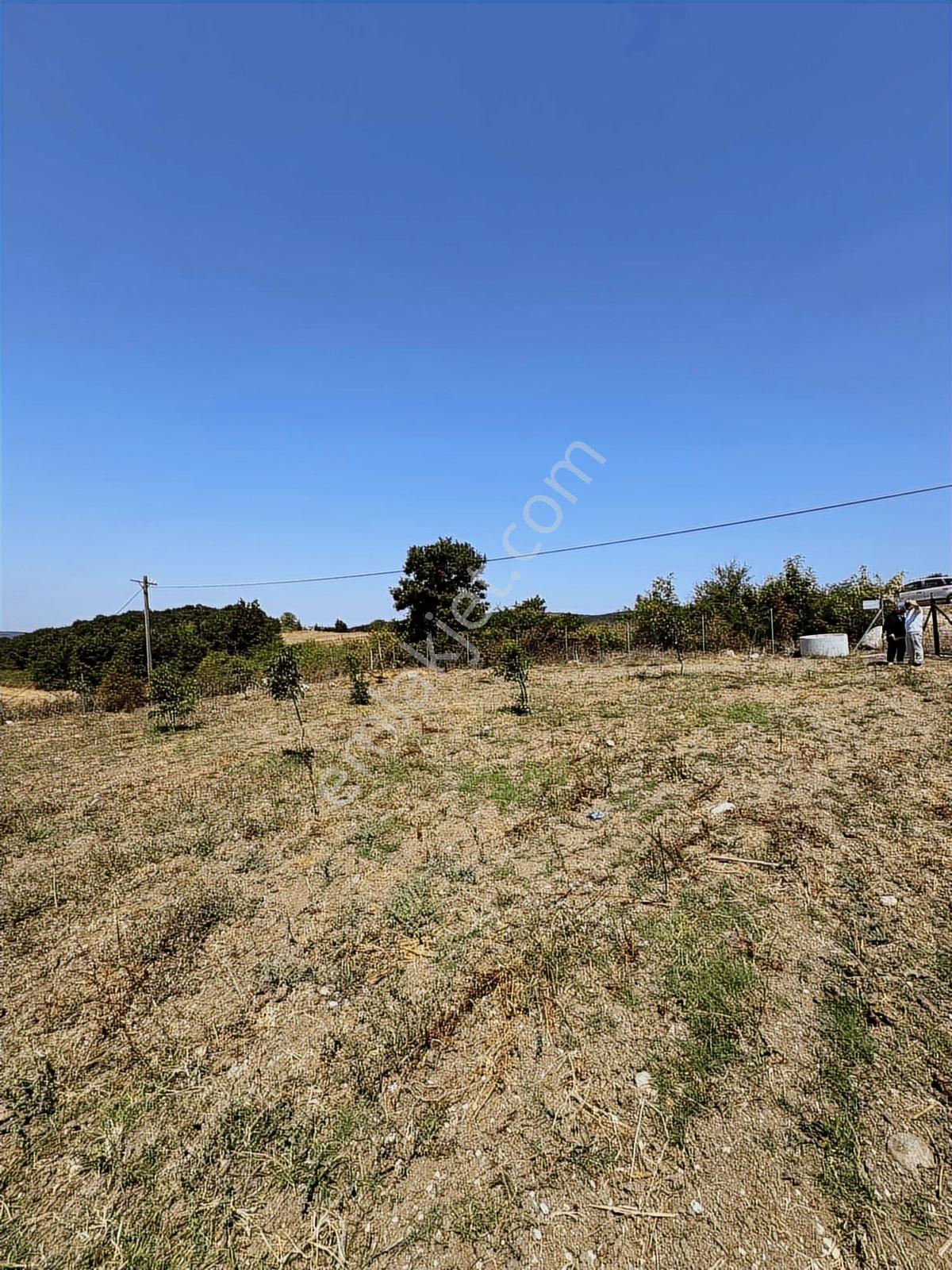 Nisandan Mustafakemalpaşa Uğurlu Pınar 2.800 M² Satılık Bahçe - Görsel 21