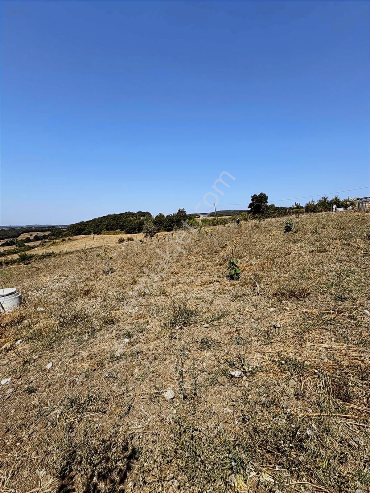 Nisandan Mustafakemalpaşa Uğurlu Pınar 2.800 M² Satılık Bahçe - Görsel 19