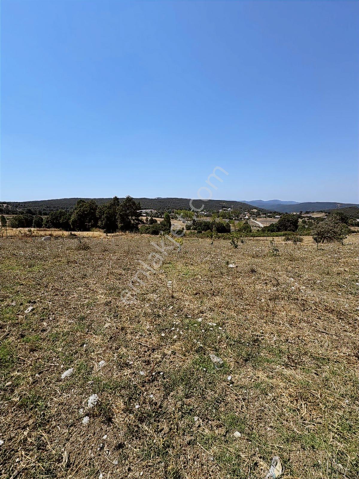 Nisandan Mustafakemalpaşa Uğurlu Pınar 2.800 M² Satılık Bahçe - Görsel 23