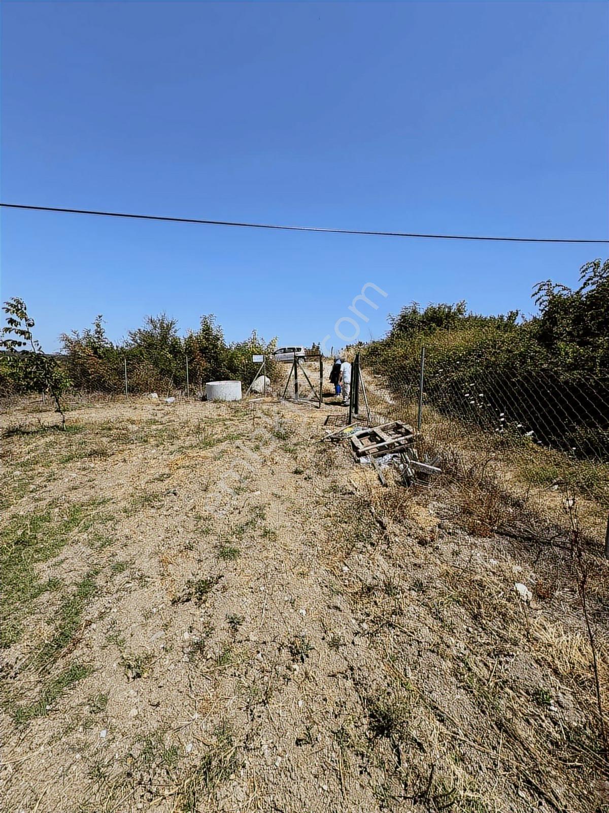 Nisandan Mustafakemalpaşa Uğurlu Pınar 2.800 M² Satılık Bahçe - Görsel 14