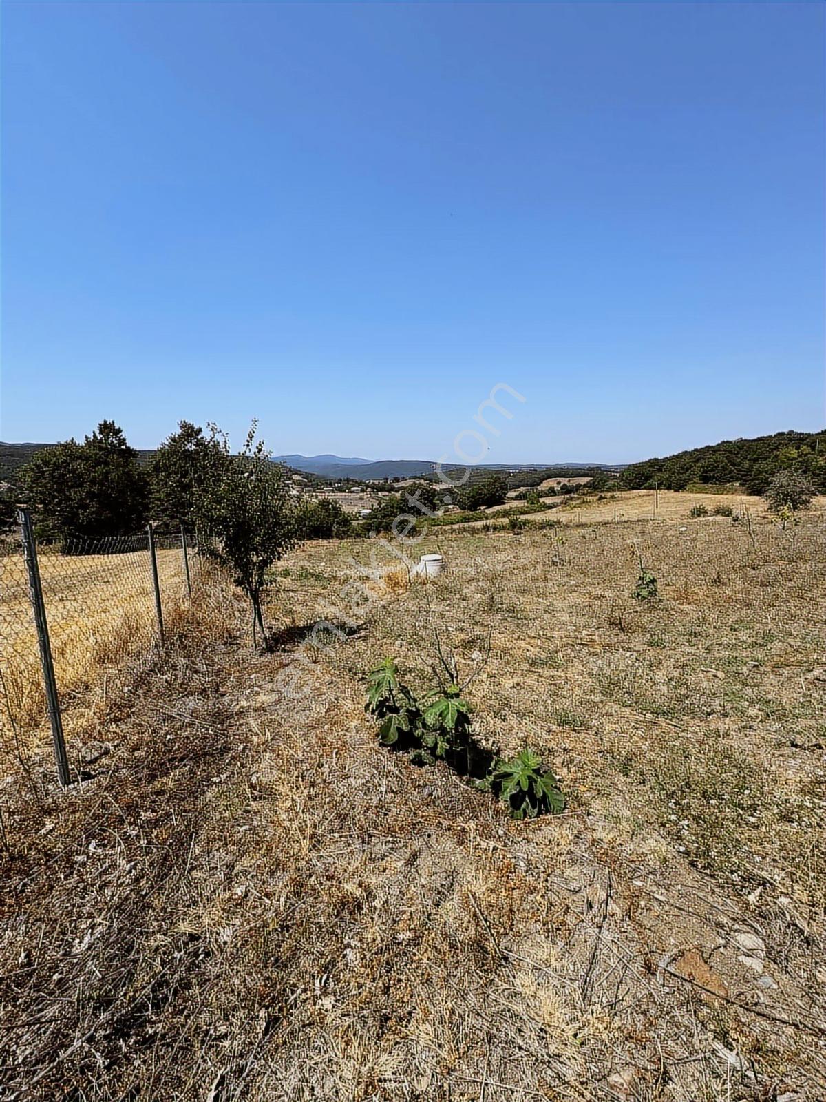 Nisandan Mustafakemalpaşa Uğurlu Pınar 2.800 M² Satılık Bahçe - Görsel 11