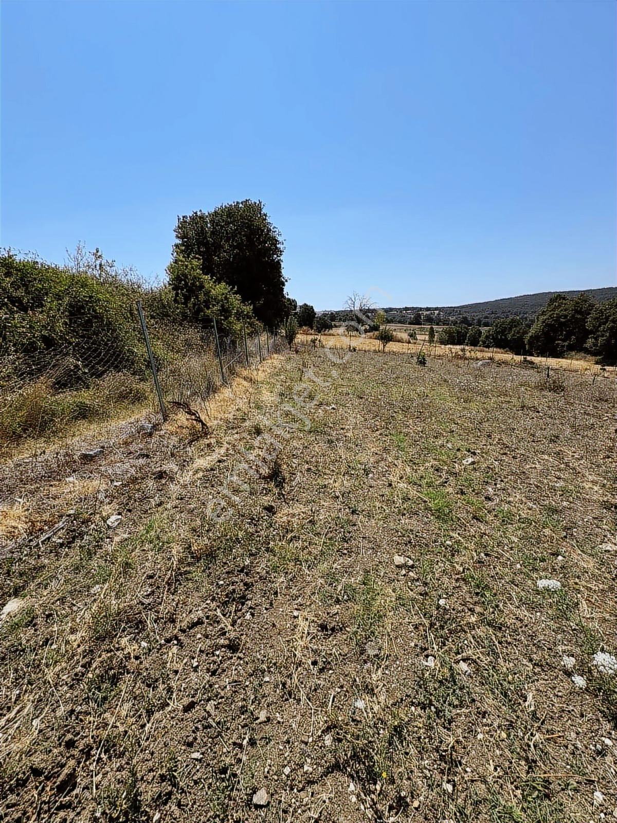 Nisandan Mustafakemalpaşa Uğurlu Pınar 2.800 M² Satılık Bahçe - Görsel 24