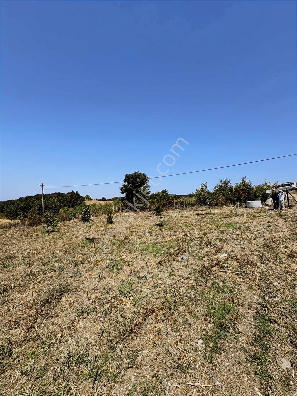 Nisandan Mustafakemalpaşa Uğurlu Pınar 2.800 M² Satılık Bahçe - Görsel 20