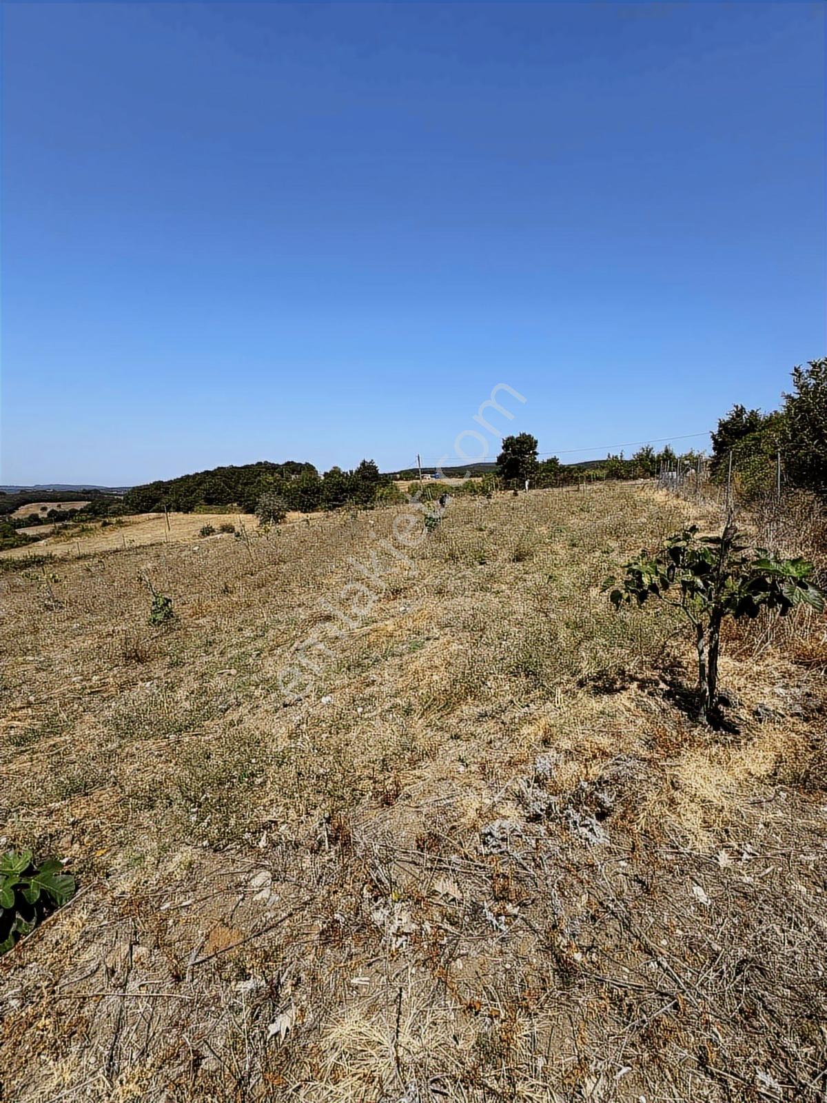 Nisandan Mustafakemalpaşa Uğurlu Pınar 2.800 M² Satılık Bahçe - Görsel 8