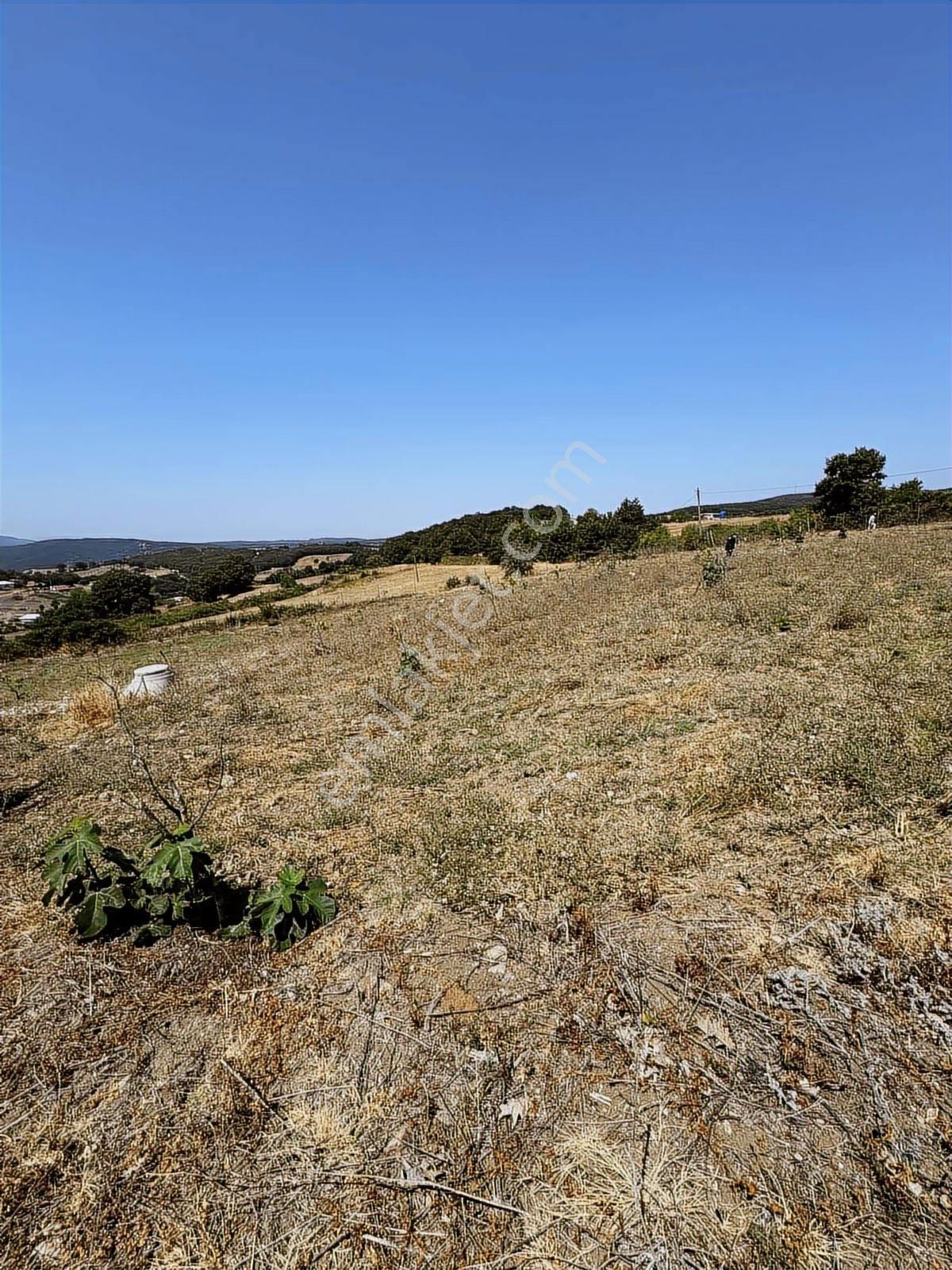 Nisandan Mustafakemalpaşa Uğurlu Pınar 2.800 M² Satılık Bahçe - Görsel 9