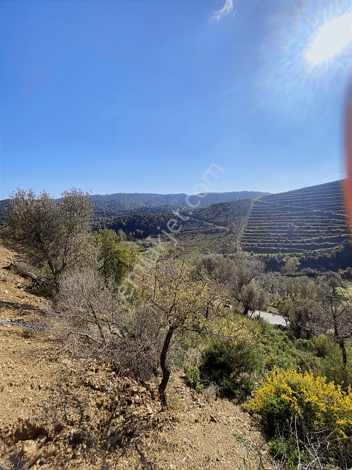 Seferihisar Turabiye Mah 224 M2 Hobi Bahçesi - Görsel 7