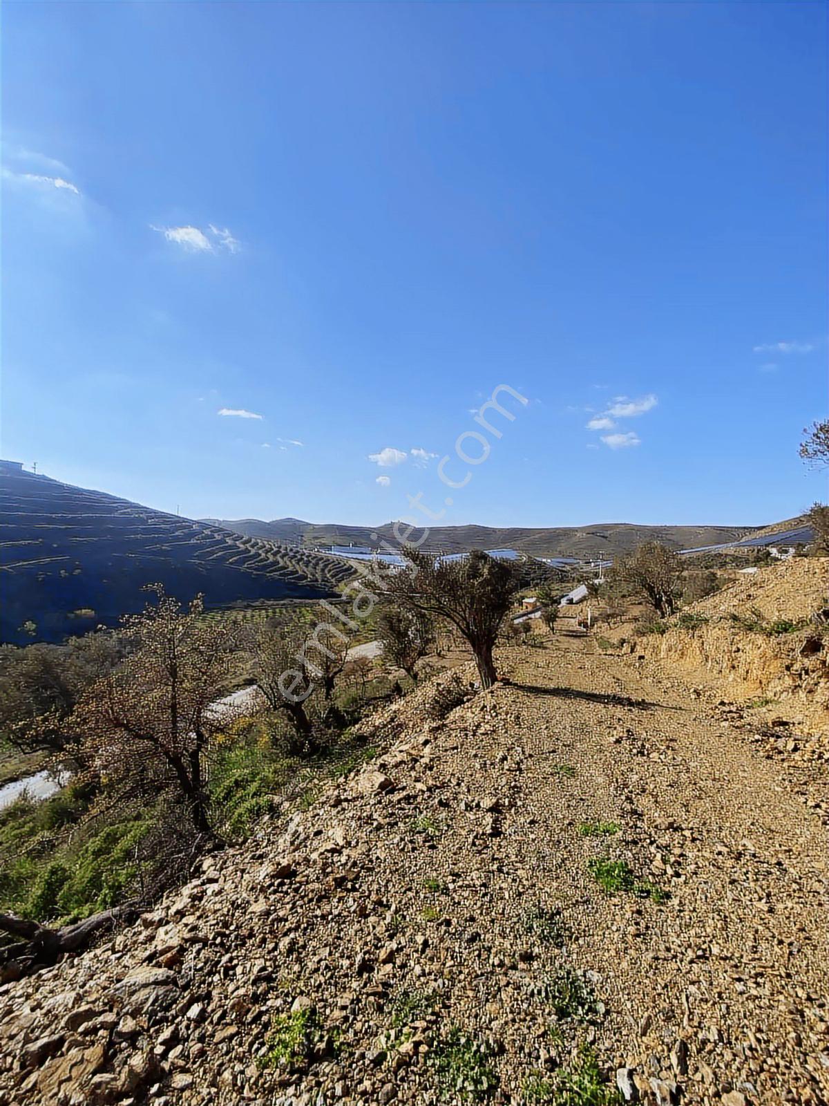 Seferihisar Turabiye Mah 224 M2 Hobi Bahçesi - Görsel 6