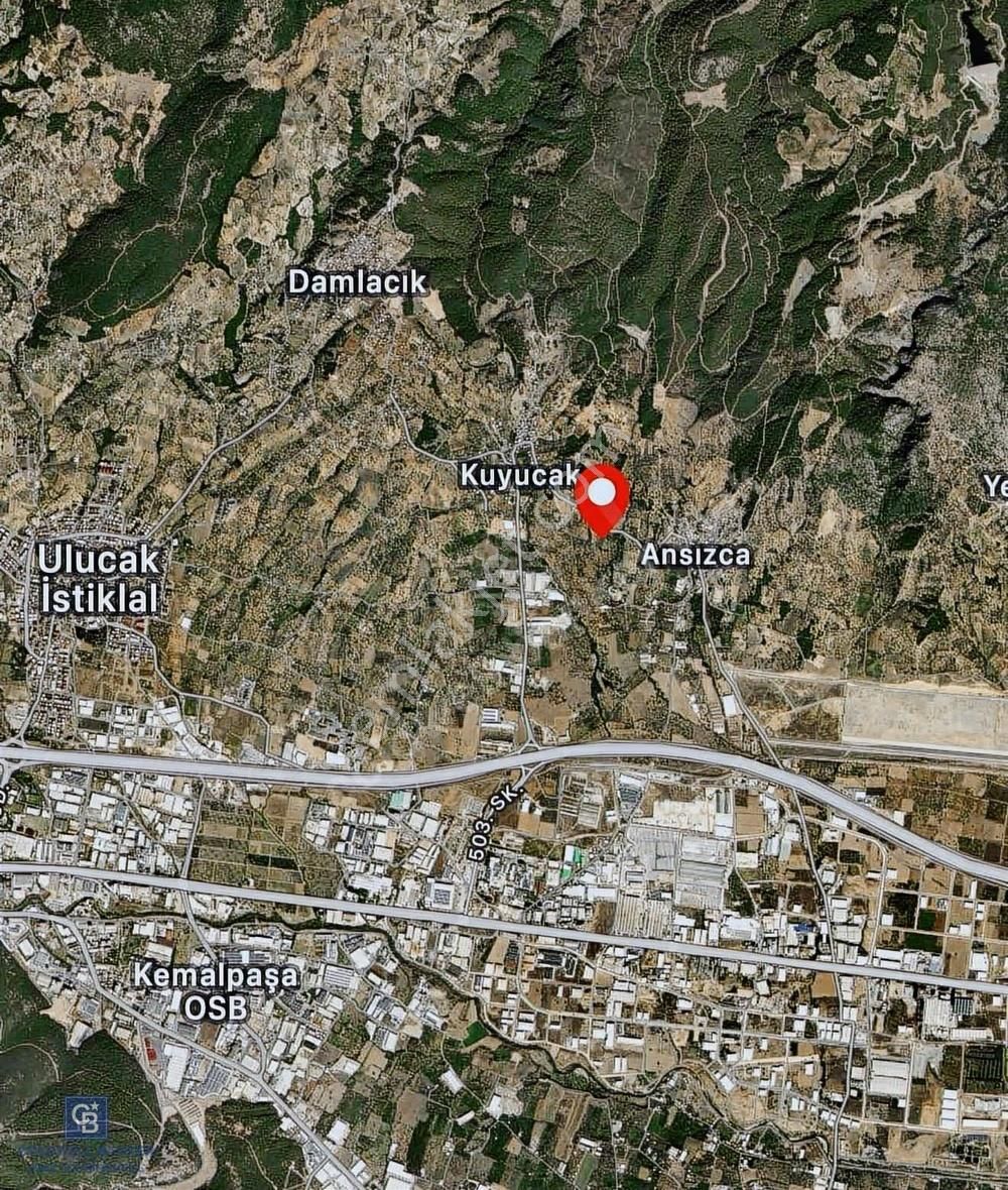 Kemalpaşa Ansızca'da Satılık 7.218 M2 Zeytinlik - Görsel 2