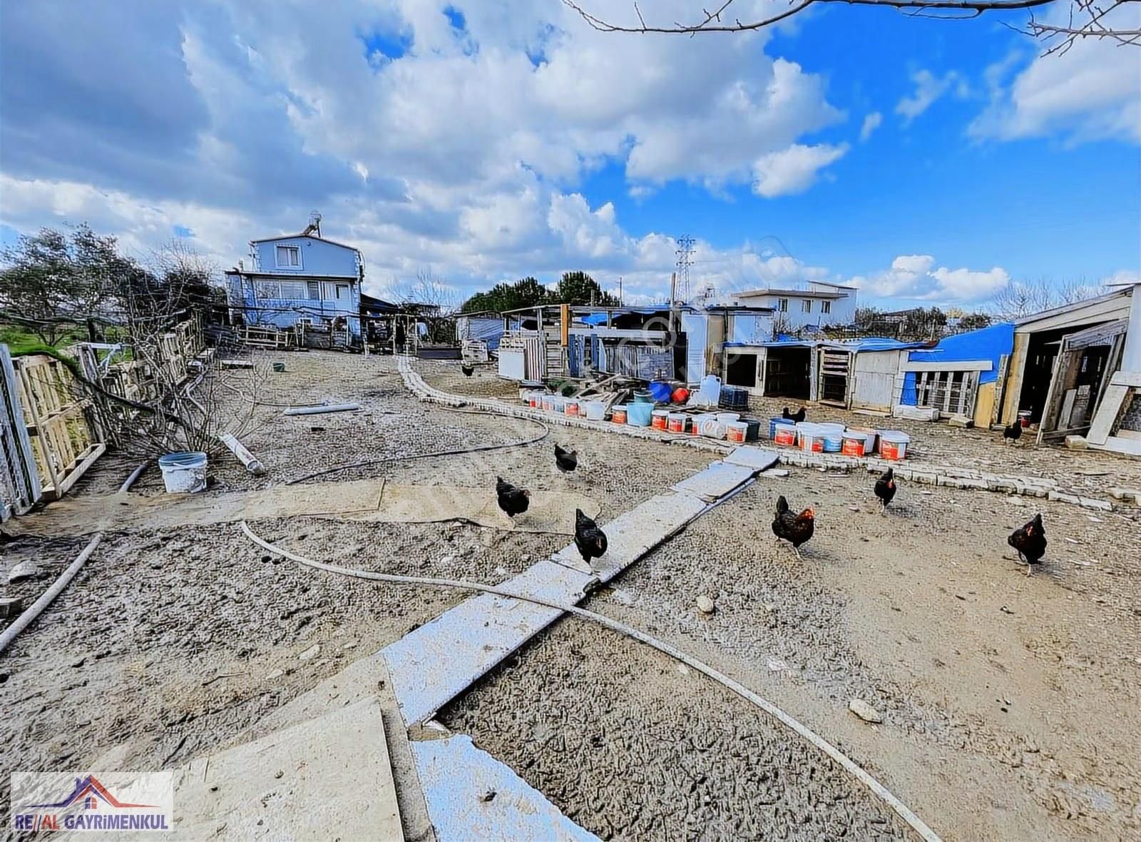 Real'den Dereköy'de İmar Sınırında 1.250 M² Hisse Ve 2 Kat Ev - Görsel 21