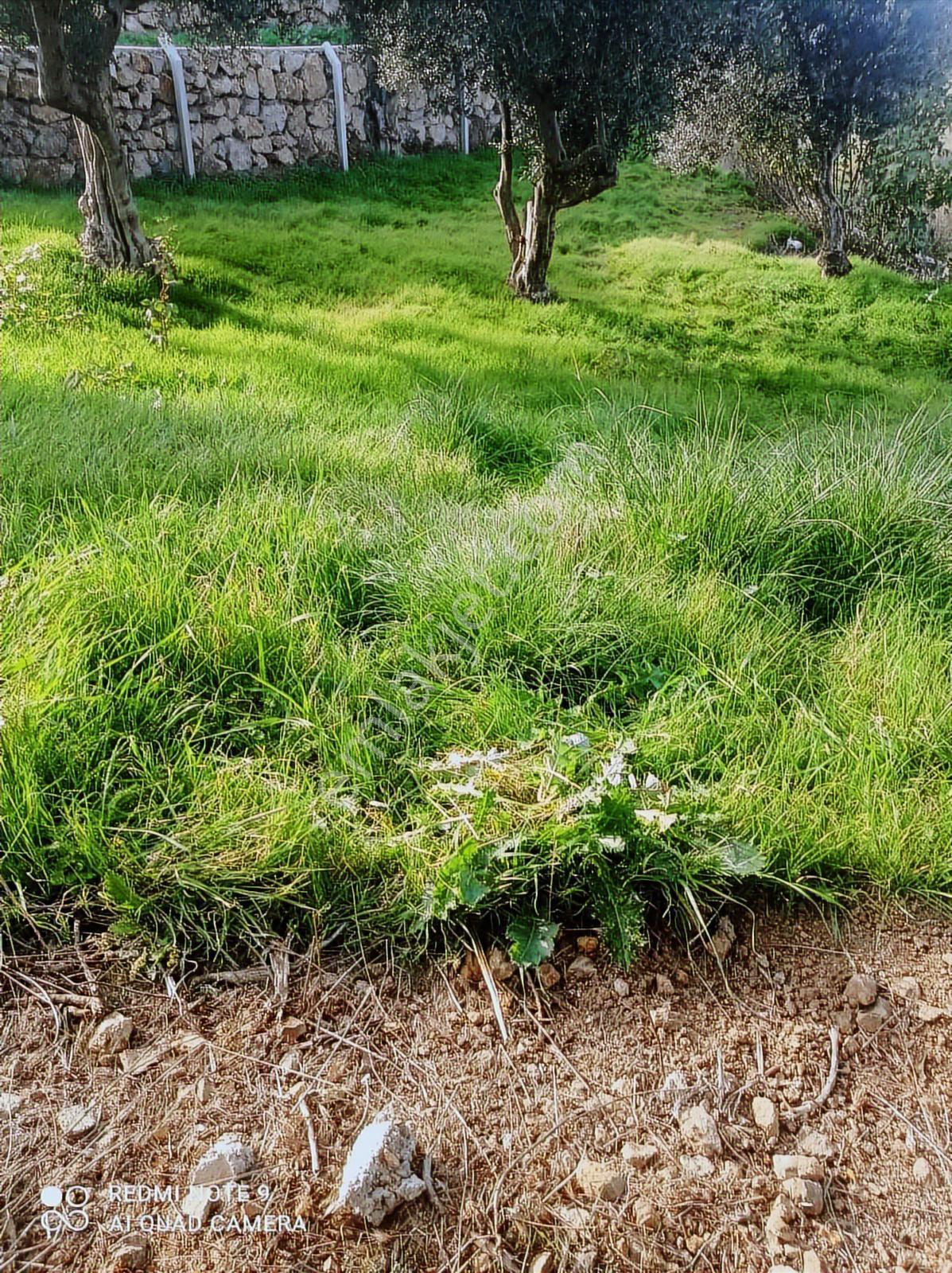 Karacabey Kıranlar ' Da Villa Yapımına Uygun Yatırımlık Arsa - Görsel 20