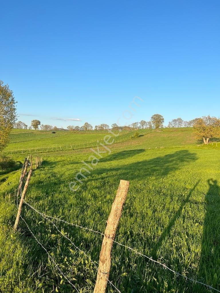 Çanakkale Çan Yaykın'da 4.250 M² Doğa Manzaralı Yatırımlık Satılık Tarla - Görsel 8