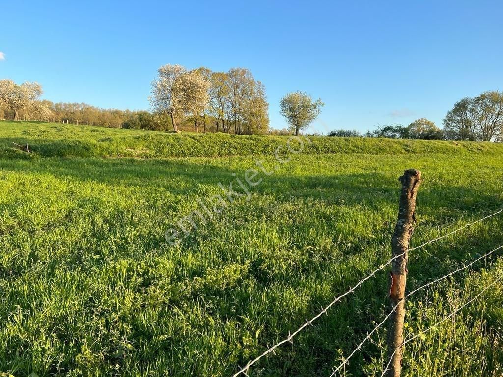 Çanakkale Çan Yaykın'da 4.250 M² Doğa Manzaralı Yatırımlık Satılık Tarla - Görsel 7