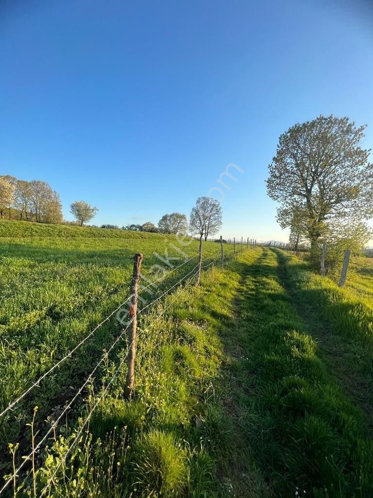 Çanakkale Çan Yaykın'da 4.250 M² Doğa Manzaralı Yatırımlık Satılık Tarla - Görsel 10