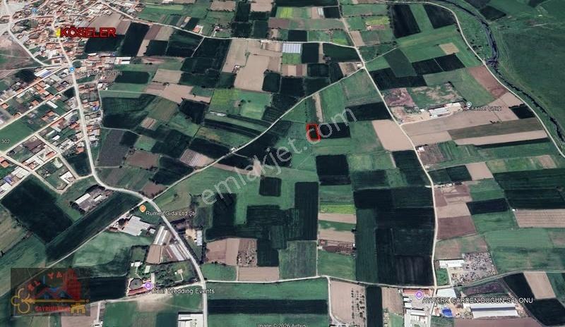 El/ya' Dan Yakupköyde Satılık Tarlalar _ 1504 M2 ... Acil - Görsel 2
